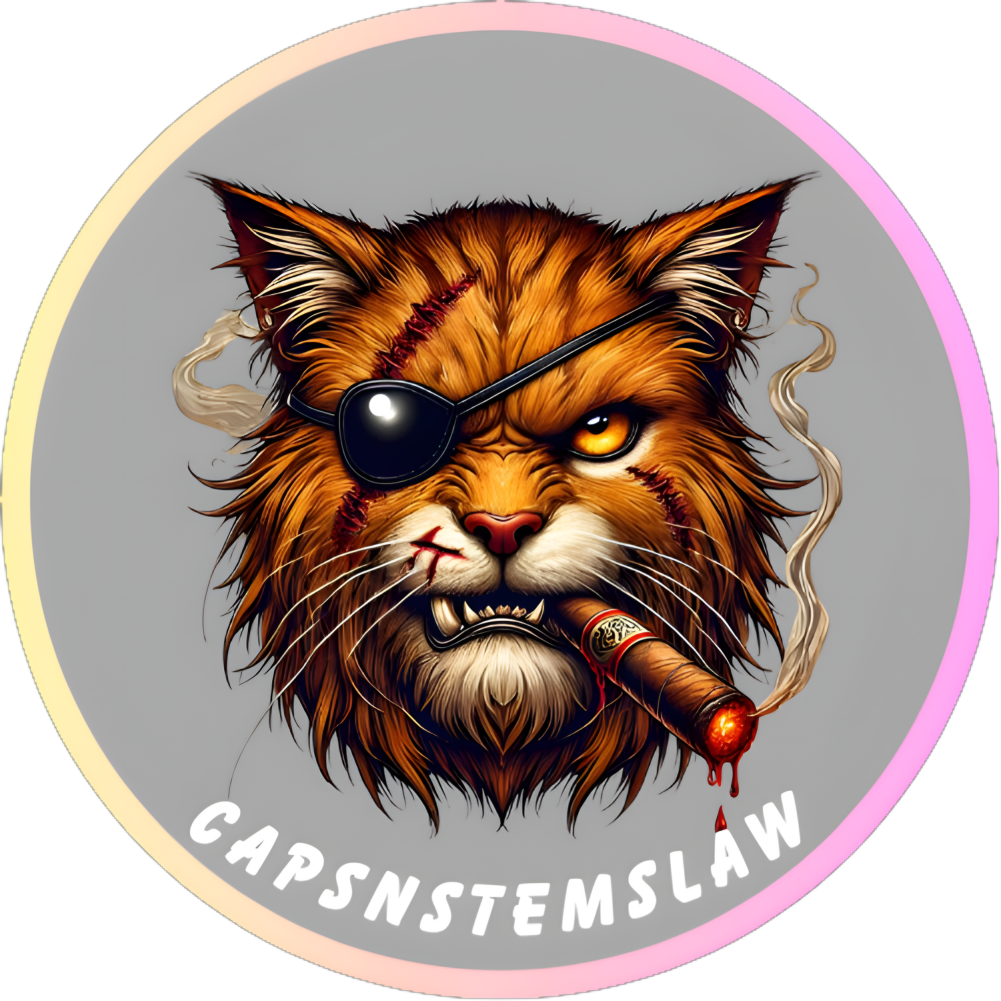 Capsnstemslaw I Unisex Premium Pullover Hoodie